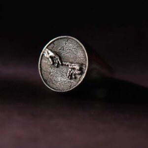 Anillo la Creación de Miguel Ángel