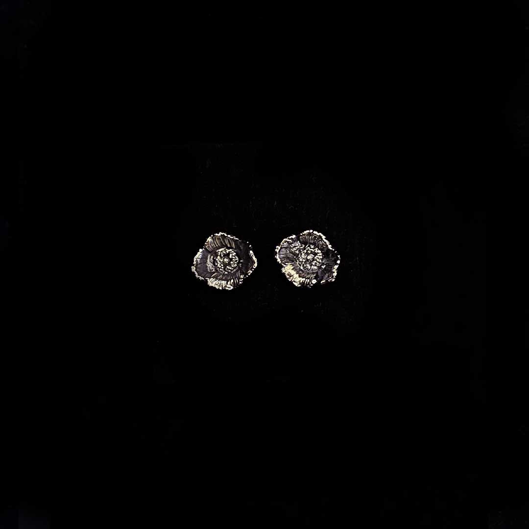 Aretes Amapola Plata